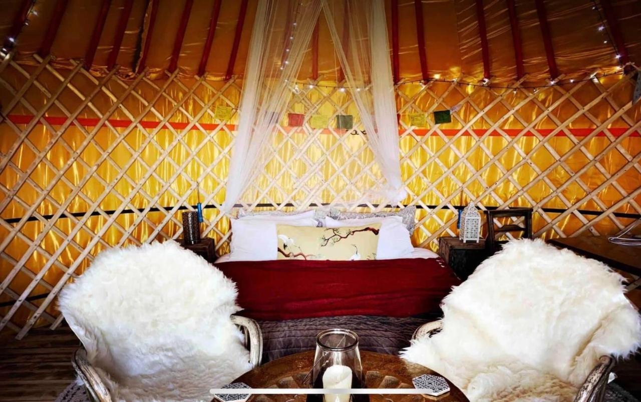 Traditional Yurt @ Longleat วอร์มินสเตอร์ ภายนอก รูปภาพ